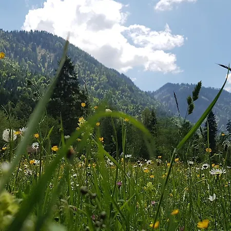 Ferienwohnung Harbich Διαμέρισμα Ruhpolding